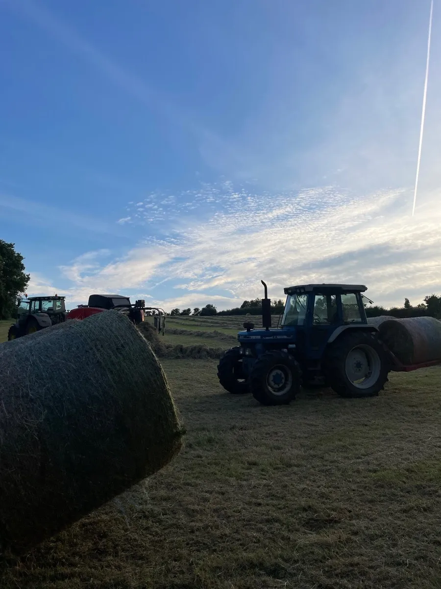 Hay - Image 2