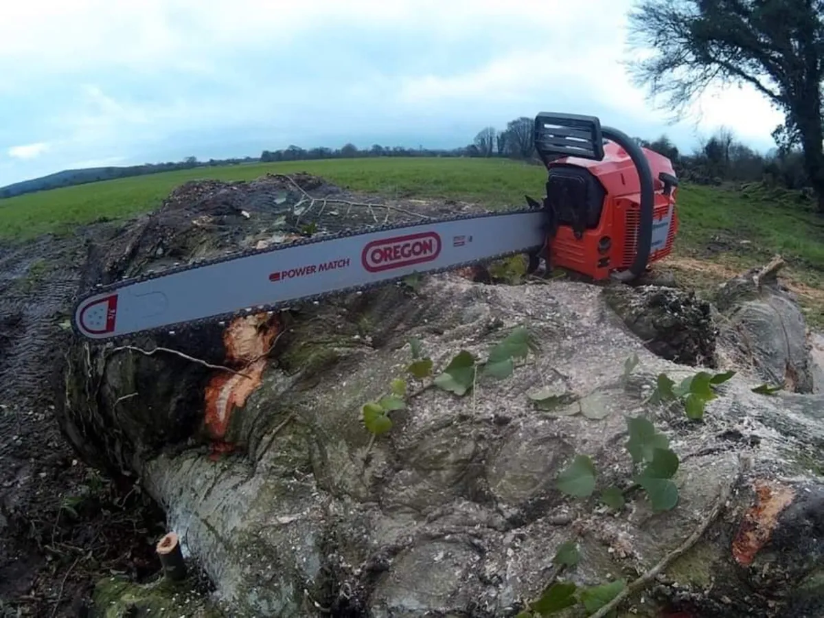 Free Tree Felling & Removal - Image 2