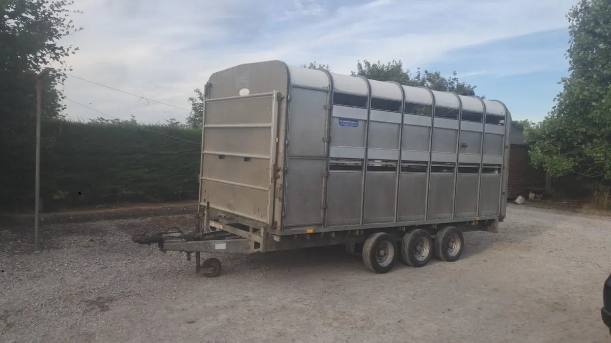 Cattle trailor - Image 1