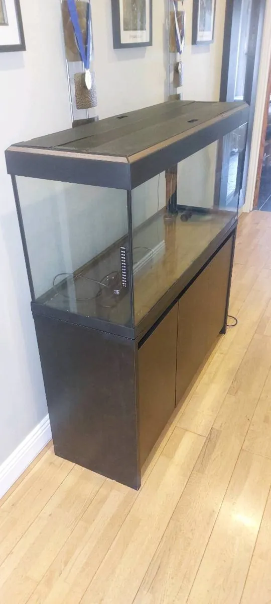 Fish tank - Image 2
