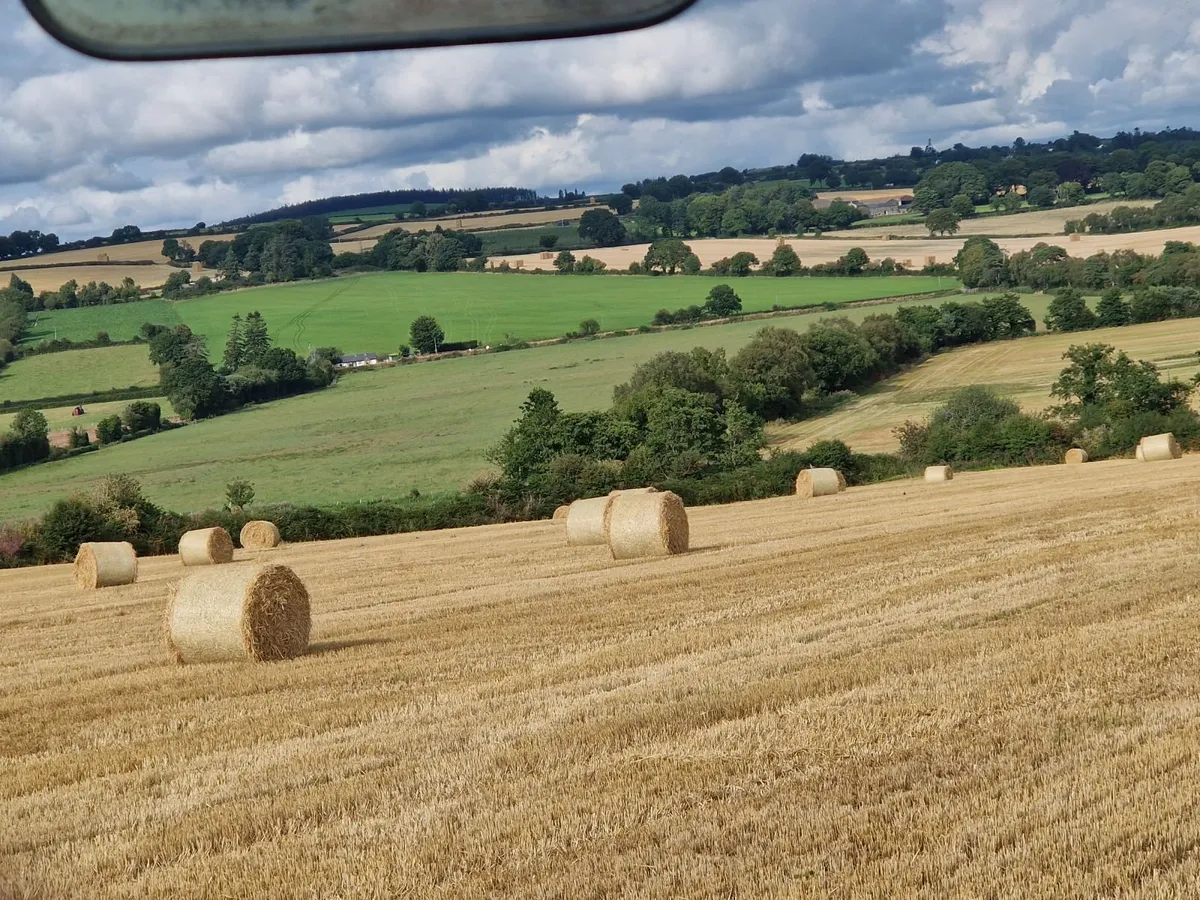4x4 barley straw - Image 1