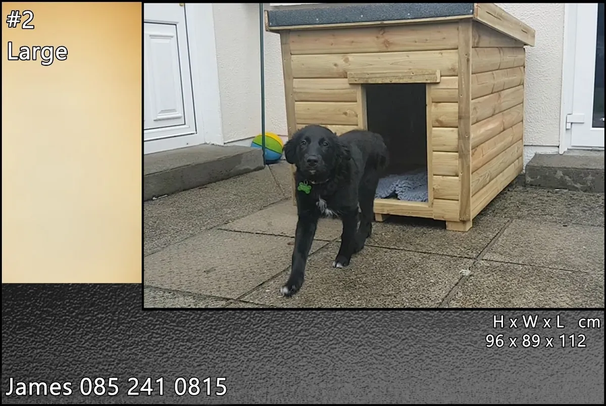 Luxury Dog Kennels - Image 3