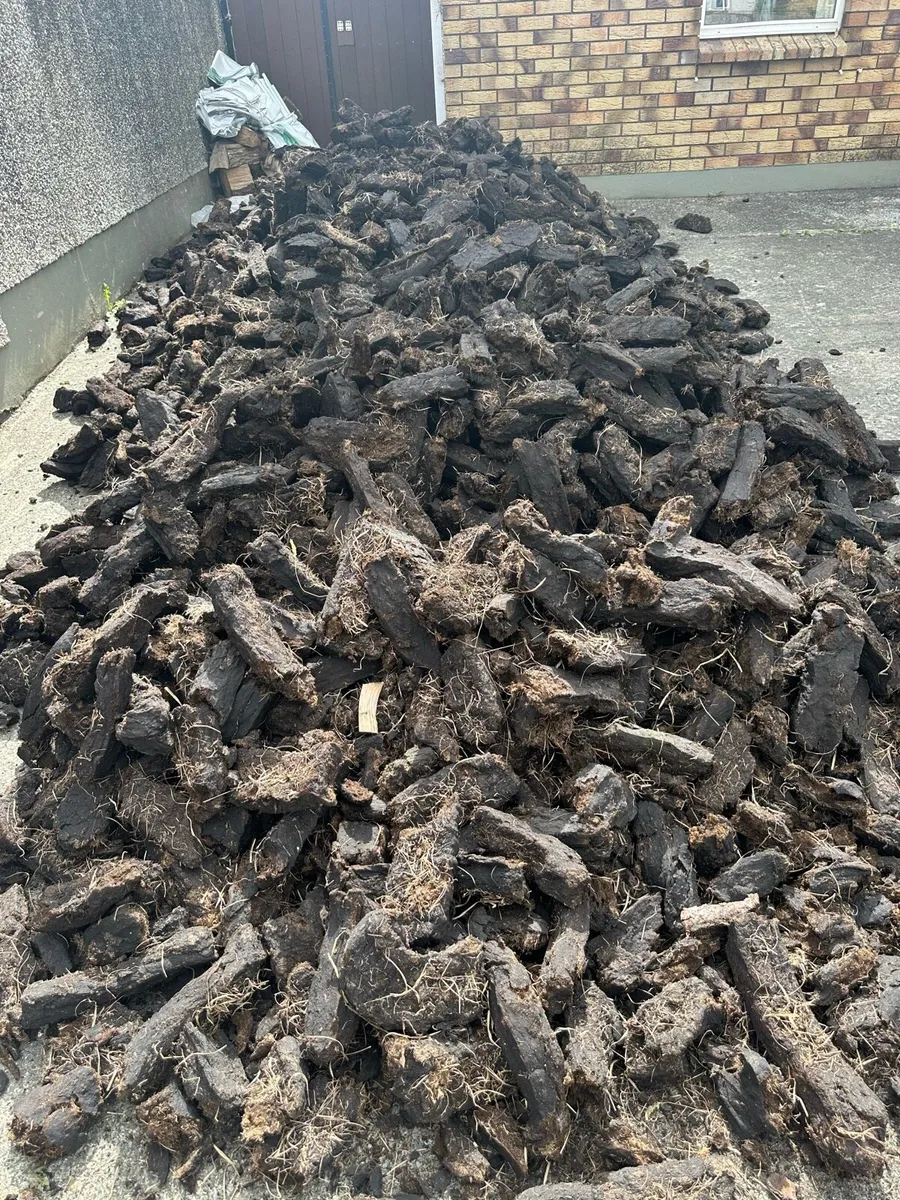 🔥Last Load Black Coal 🔥 - Image 1