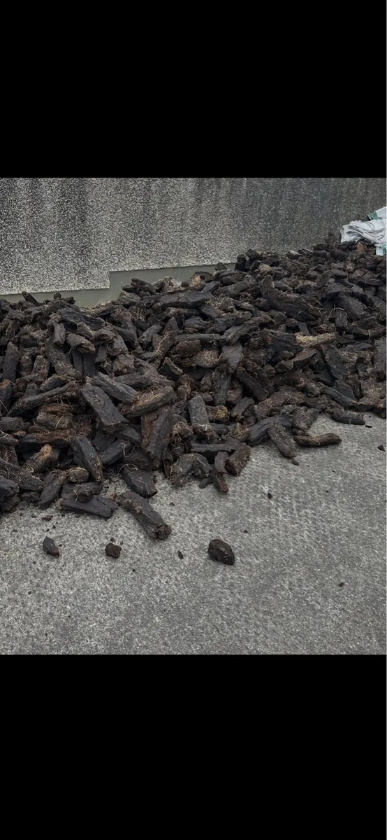 🔥Last Load Black Coal 🔥 - Image 2