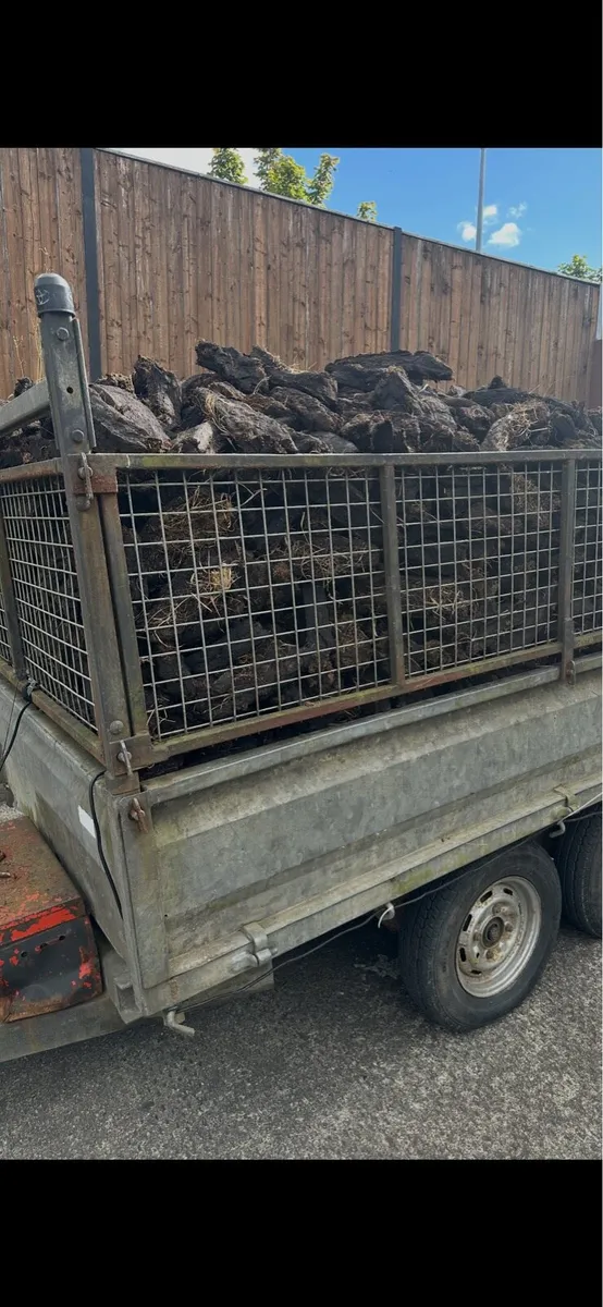 🔥Last Load Black Coal 🔥 - Image 3