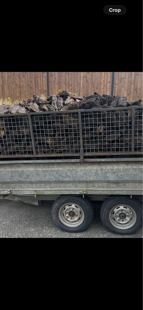 🔥Last Load Black Coal 🔥 - Image 4