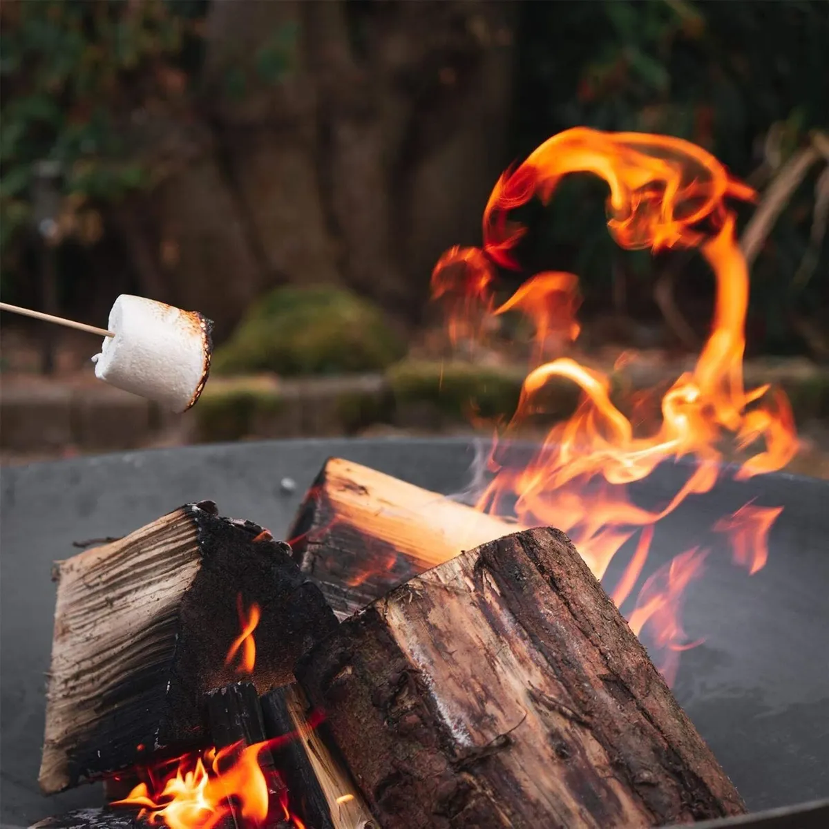 Raw Iron Garden Fire Pit Burner with Handles - Image 4