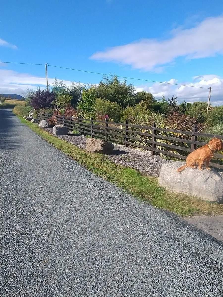 12 Large decorative Stones - Image 3