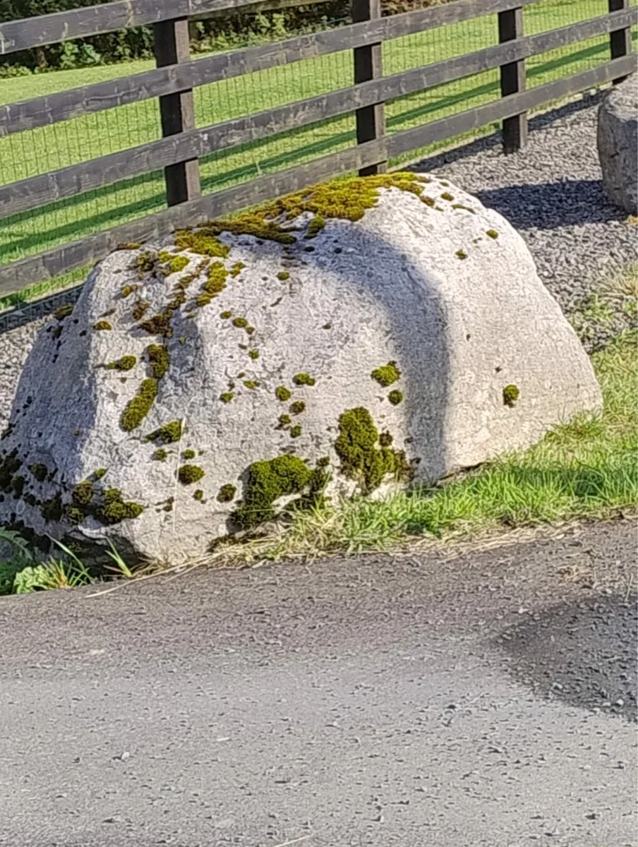 12 Large decorative Stones - Image 4
