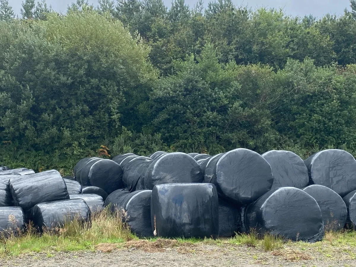 Silage bales