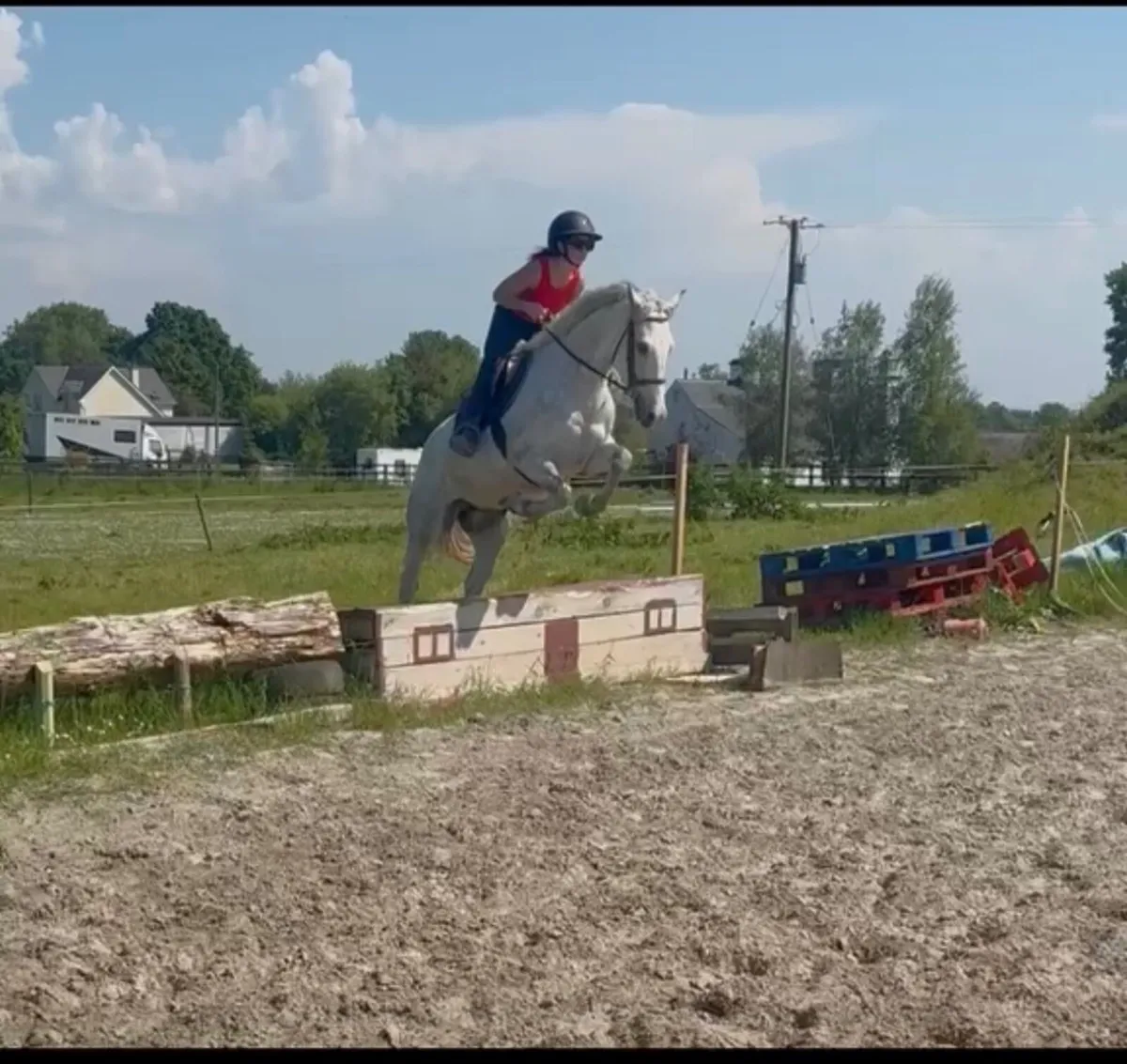 4yr old pony - Image 3