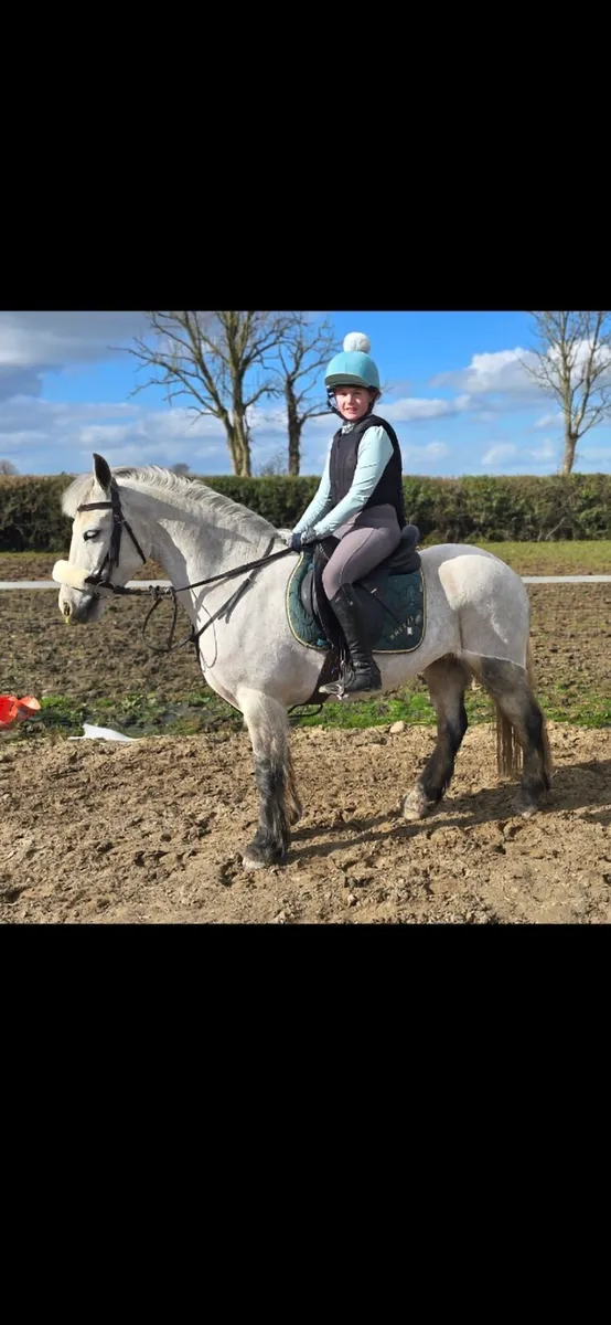 13h pony - Image 1
