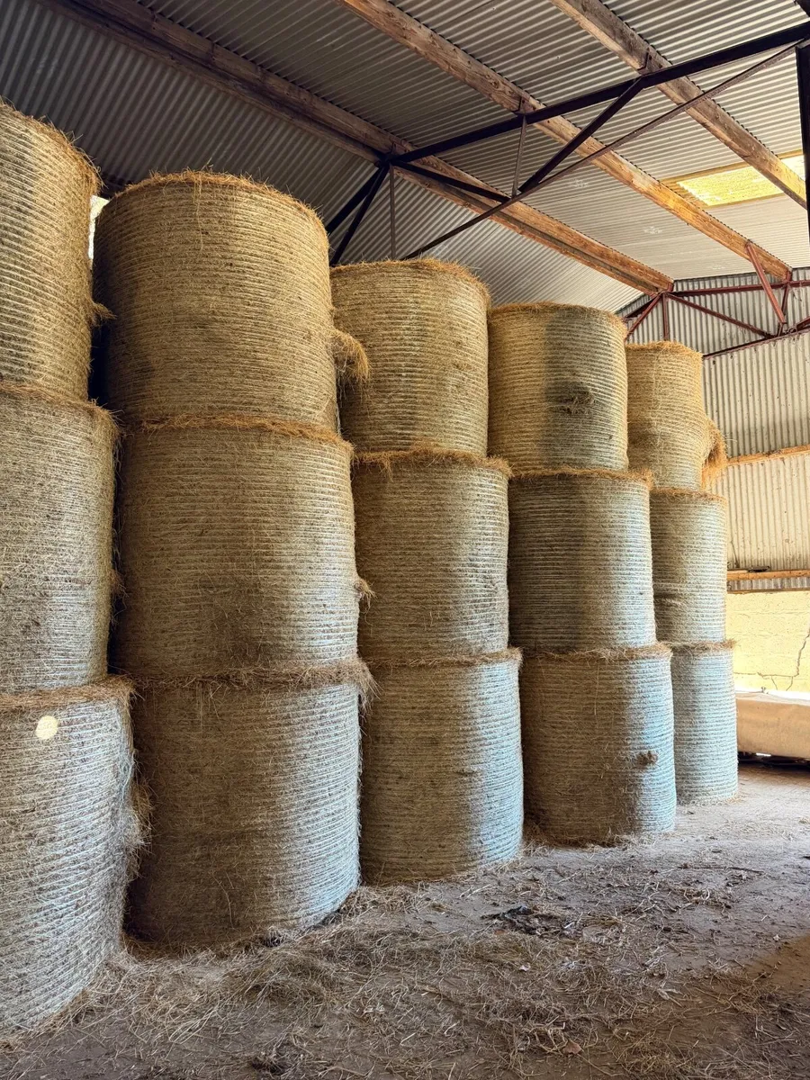 ORGANIC Hay