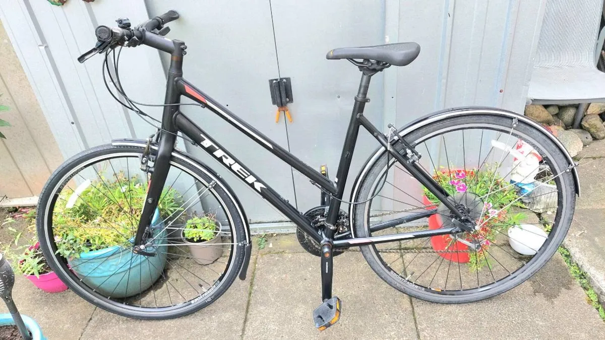 Trek FX3 Large Frame - Image 1