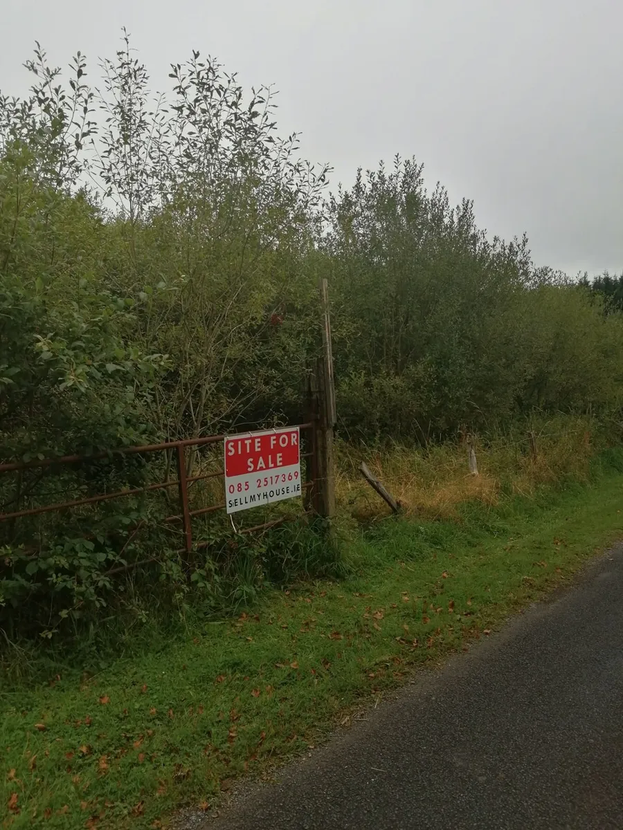 2 Acre Site for Sale - Meentulla, Murroe - Image 2
