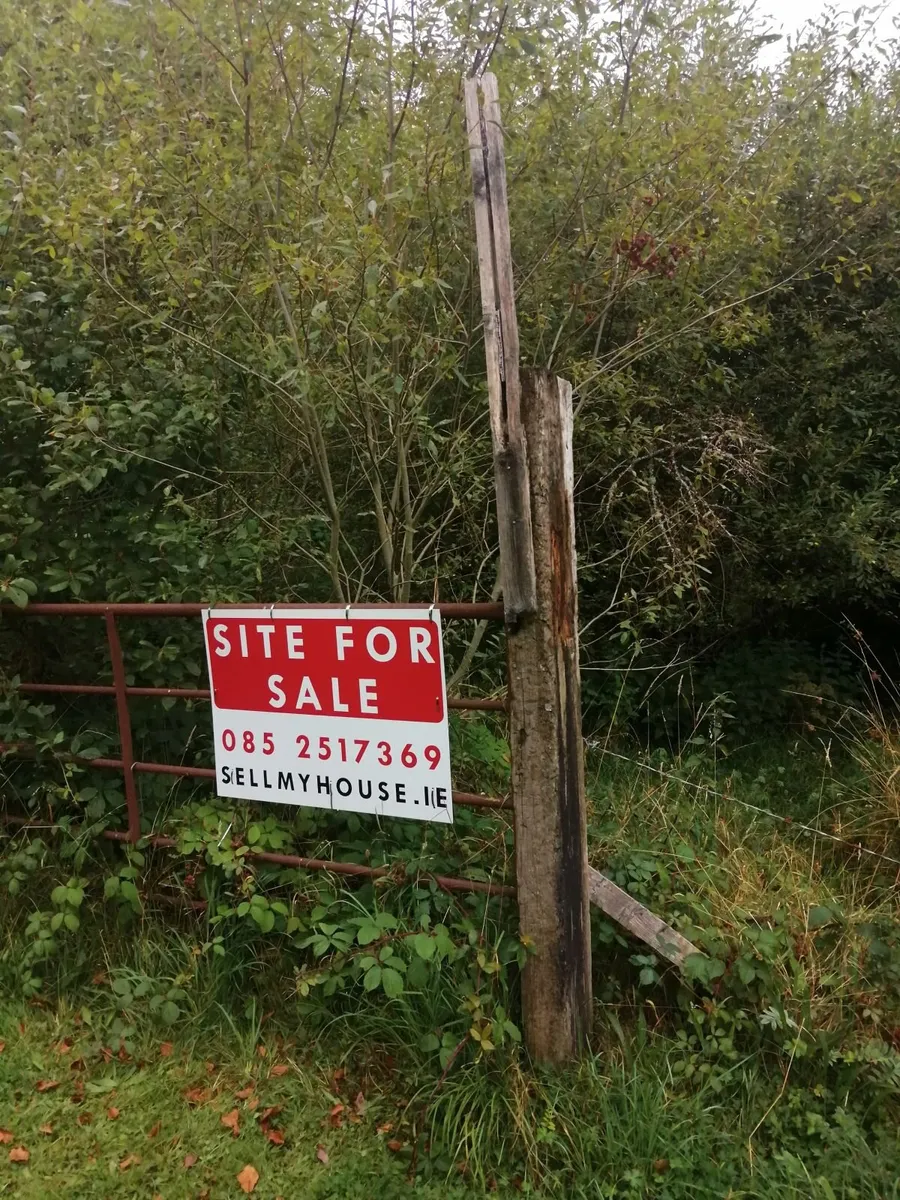 2 Acre Site for Sale - Meentulla, Murroe - Image 4