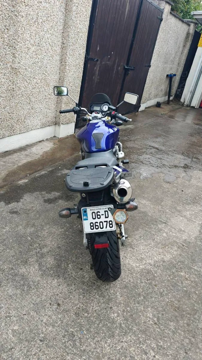 Honda Hornet 600 low mileage - Image 3
