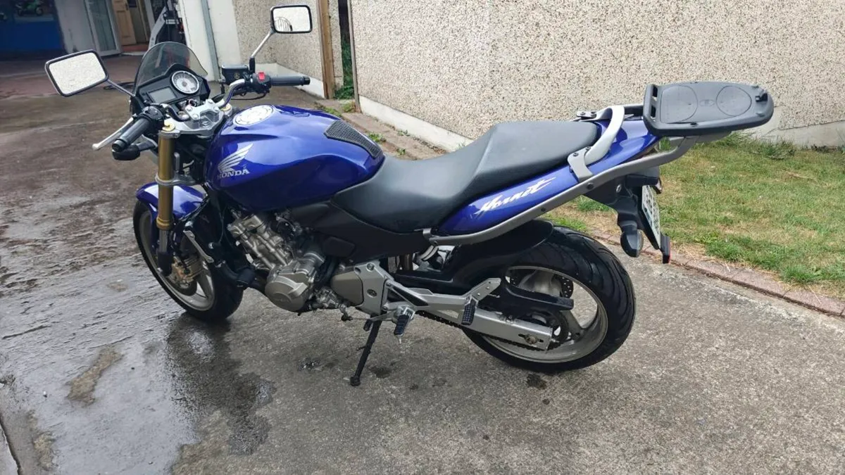 Honda Hornet 600 low mileage - Image 4