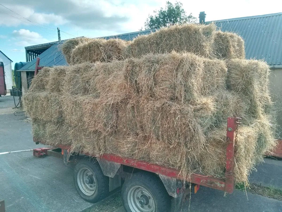 Hay and silage - Image 1