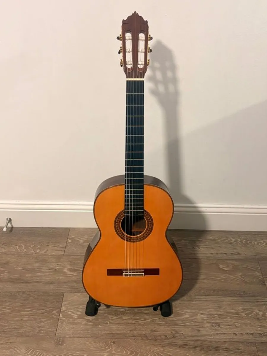 Acoustic guitar - Image 1