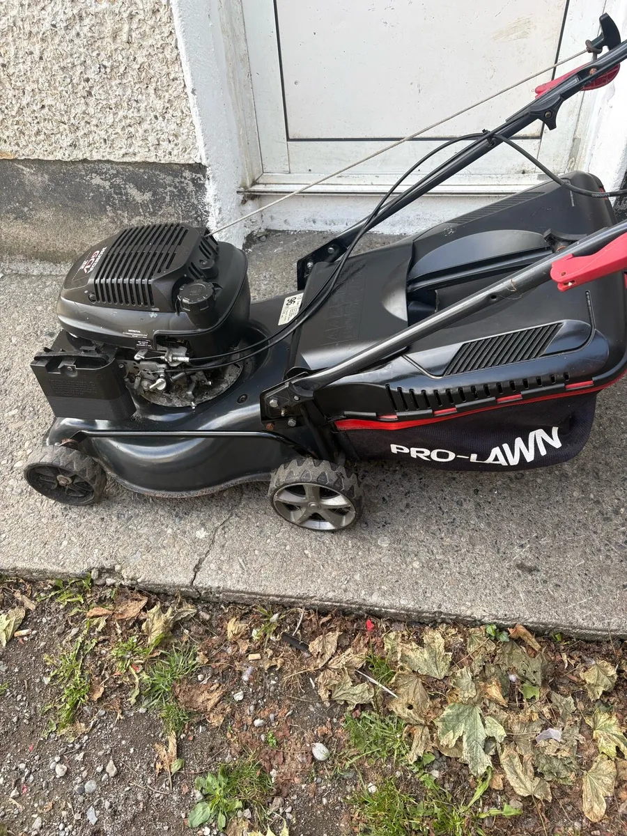 Pro lawn - Image 1