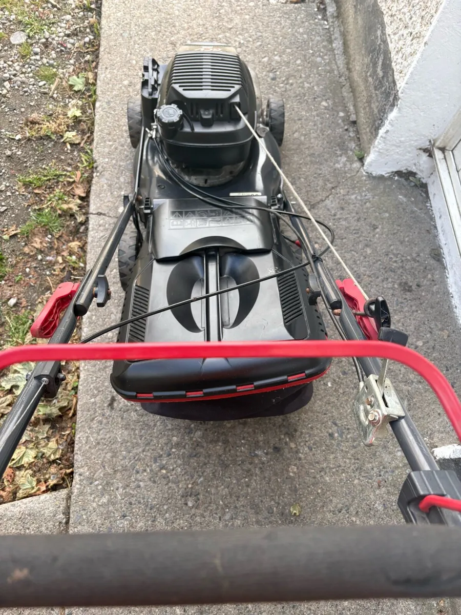 Pro lawn - Image 4