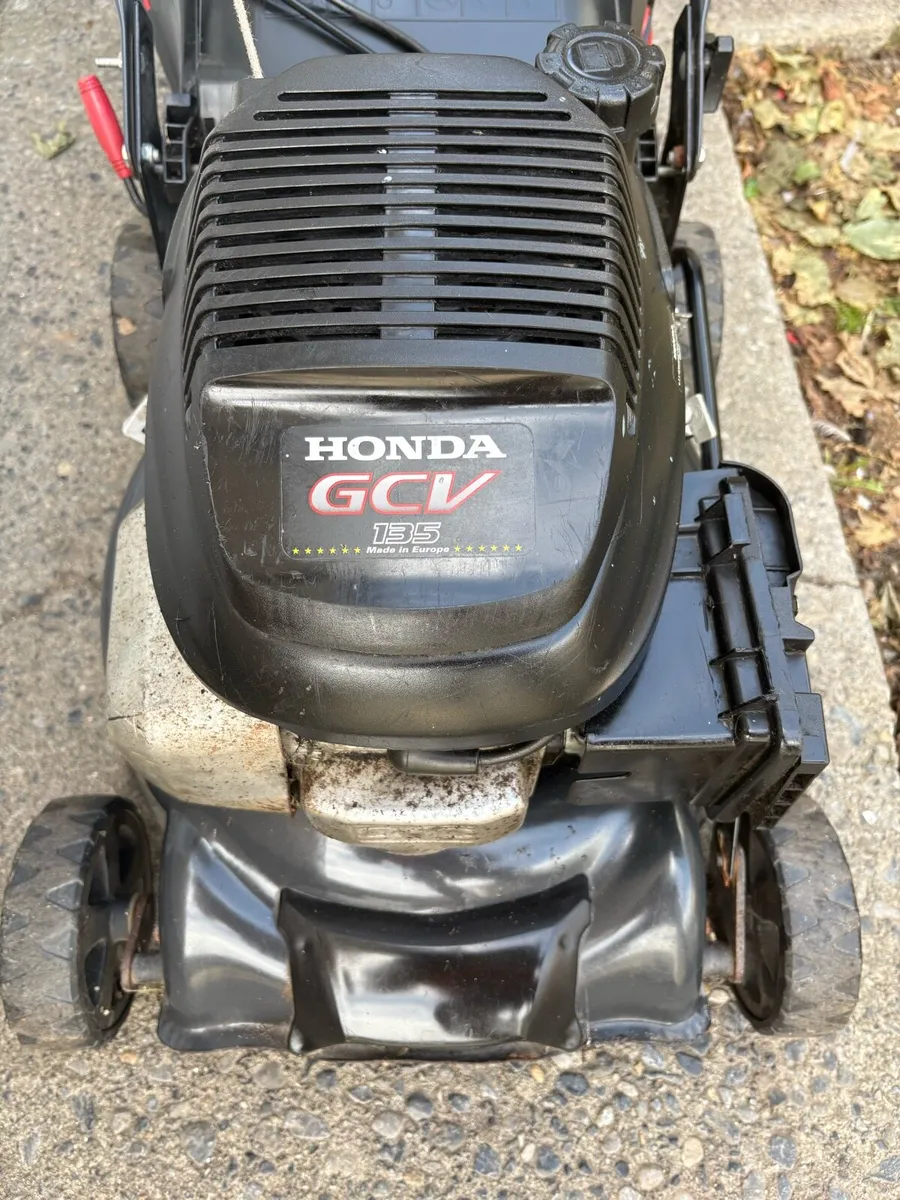 Pro lawn - Image 2