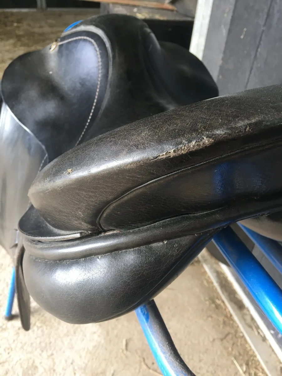 Paul jones Saddle - Image 3