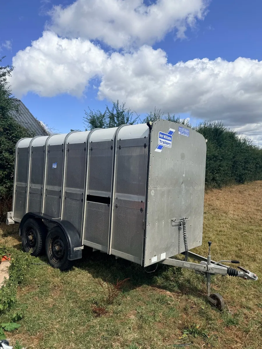 🐄12 x 5 livestock trailer 🐄 - Image 2