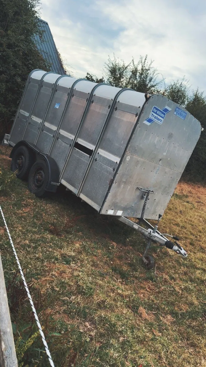 🐄12 x 5 livestock trailer 🐄 - Image 1