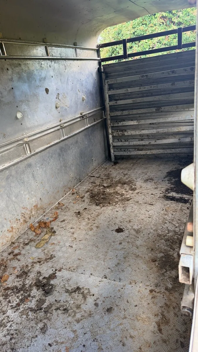 🐄12 x 5 livestock trailer 🐄 - Image 4