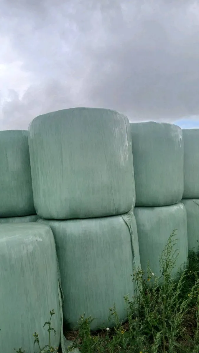 Silage - Image 1