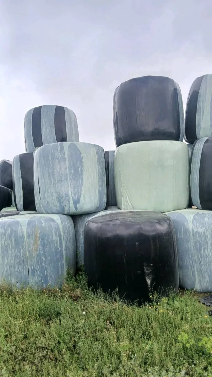 Silage - Image 2