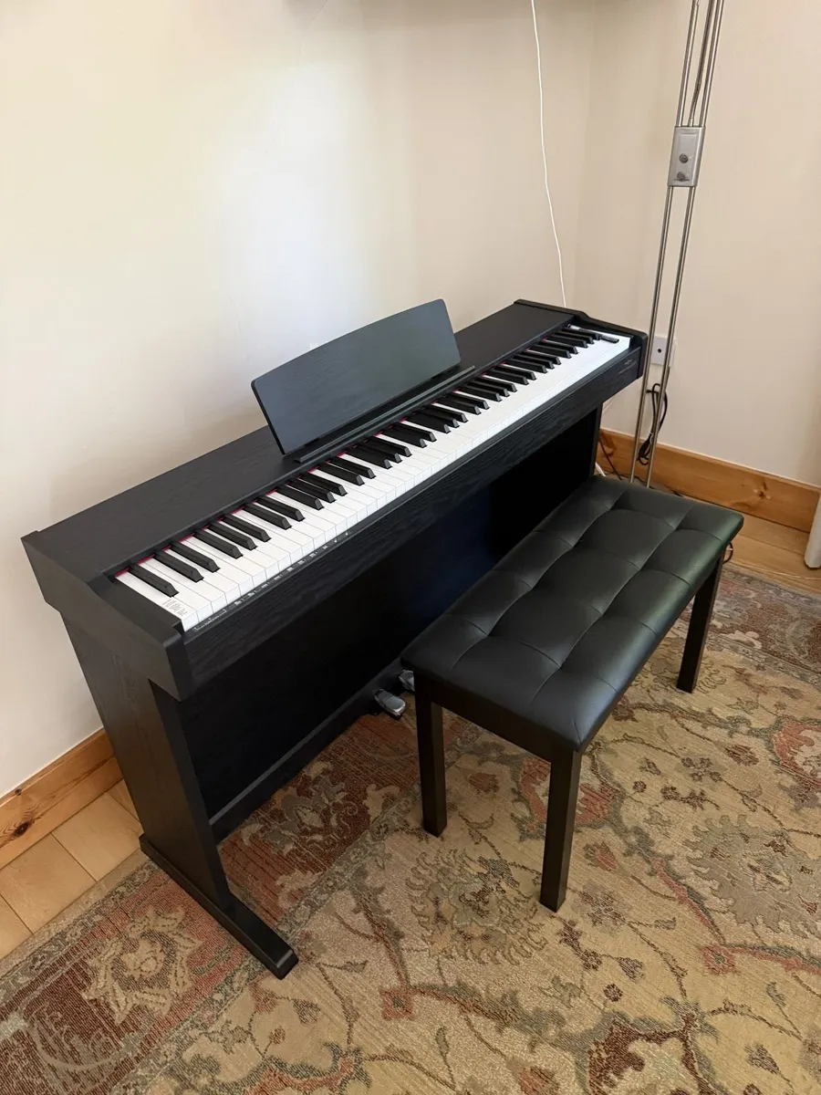 VISIONKEY-500 Digital Piano with Double Bench & Pr - Image 1