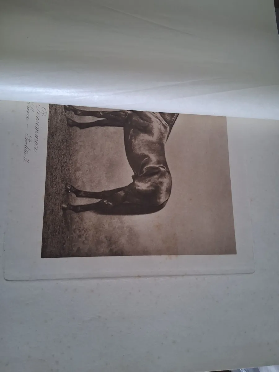BOOK - Image 2