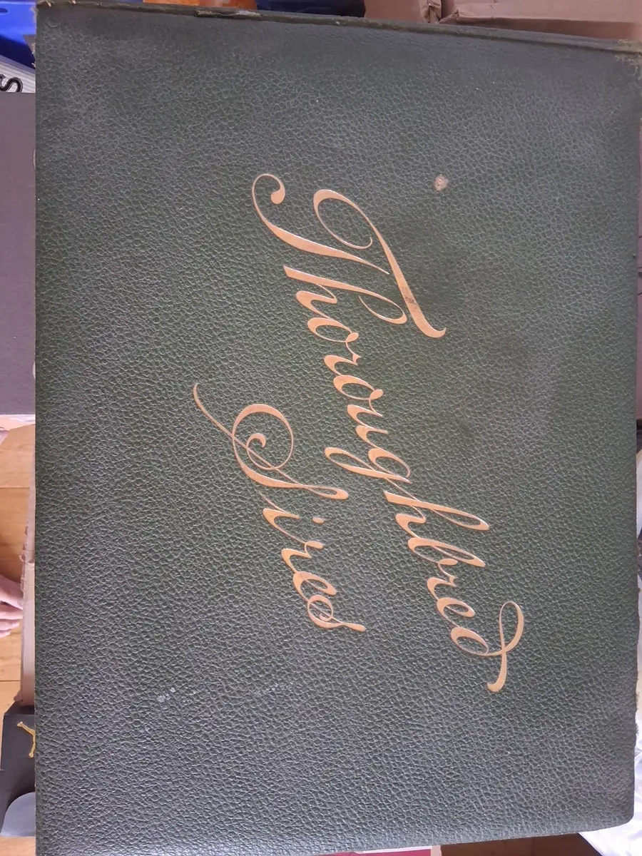 BOOK - Image 4