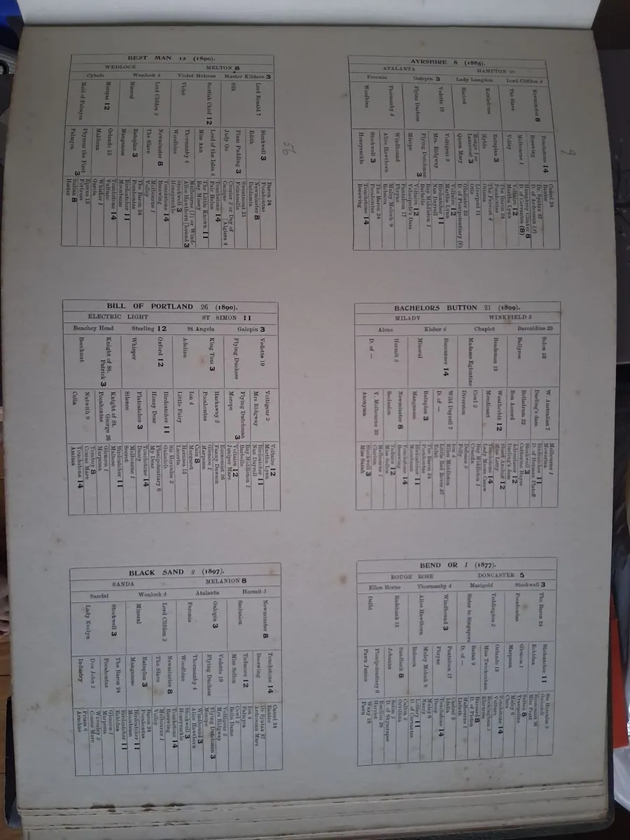 BOOK - Image 3