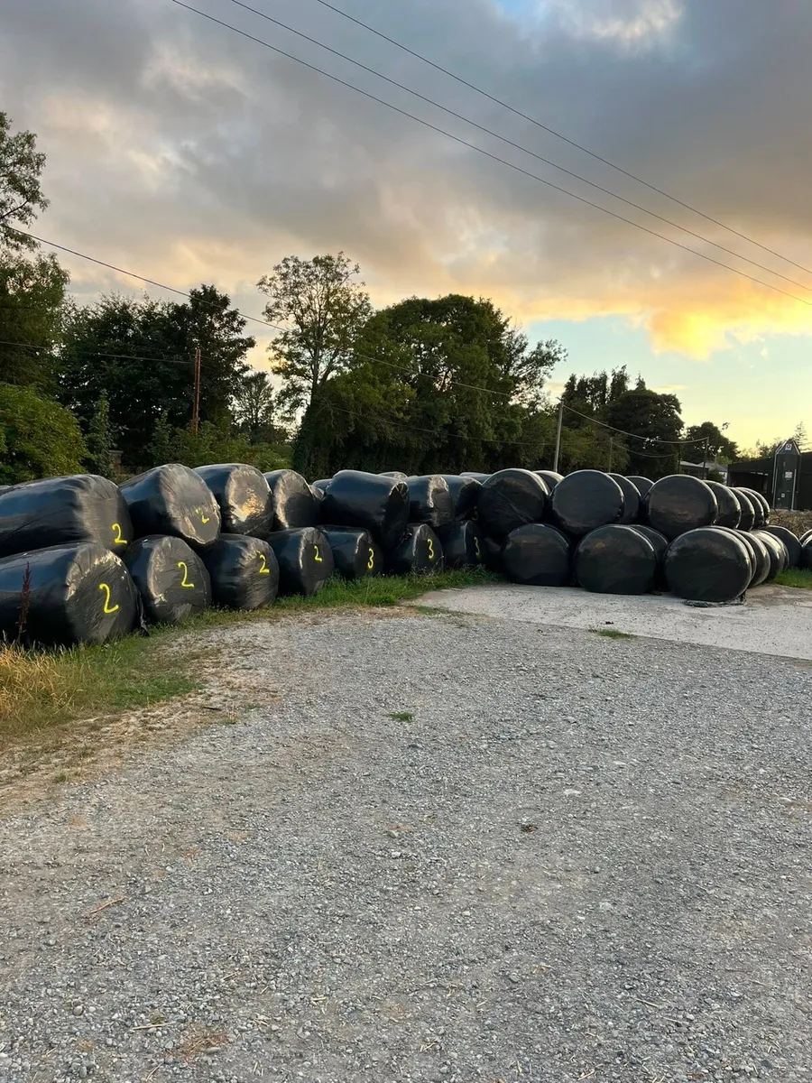 Silage