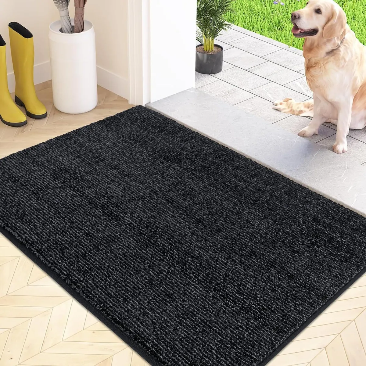 Indoor Area Rug Entrance - Image 1