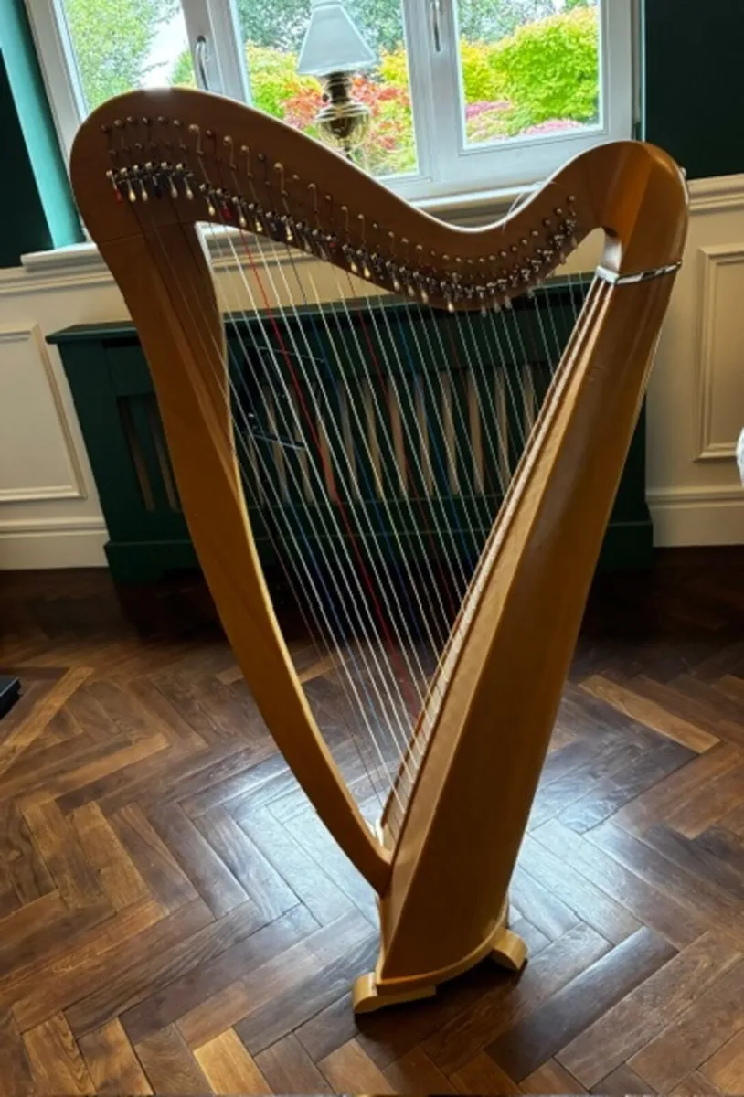 34 String Harp - Image 1