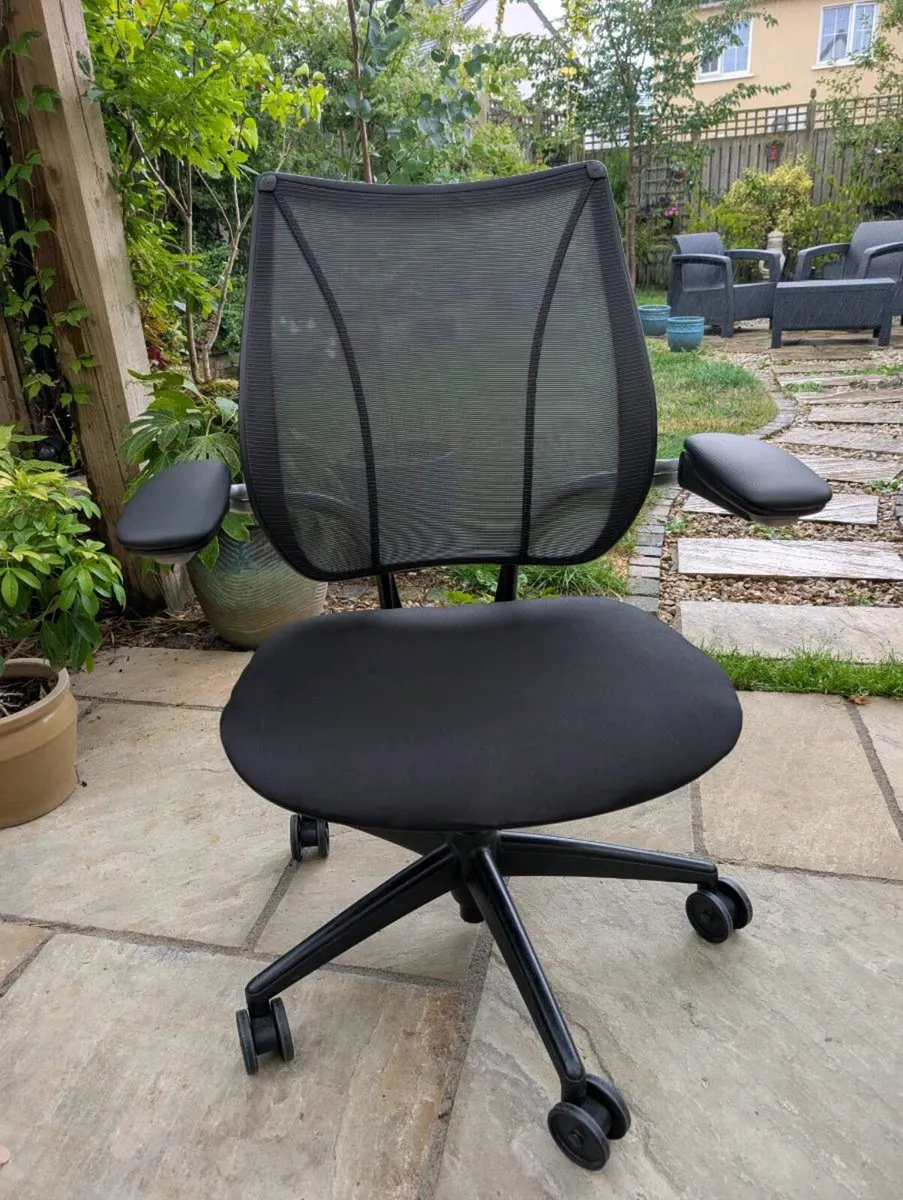 Ergonomic office chair - Image 1