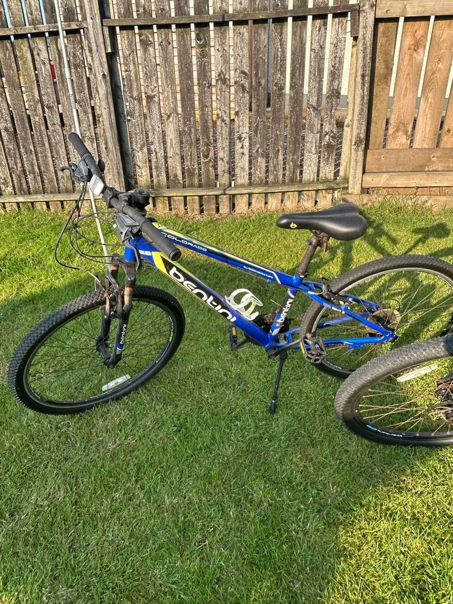Ladies and Gents mountain bikes - Image 1