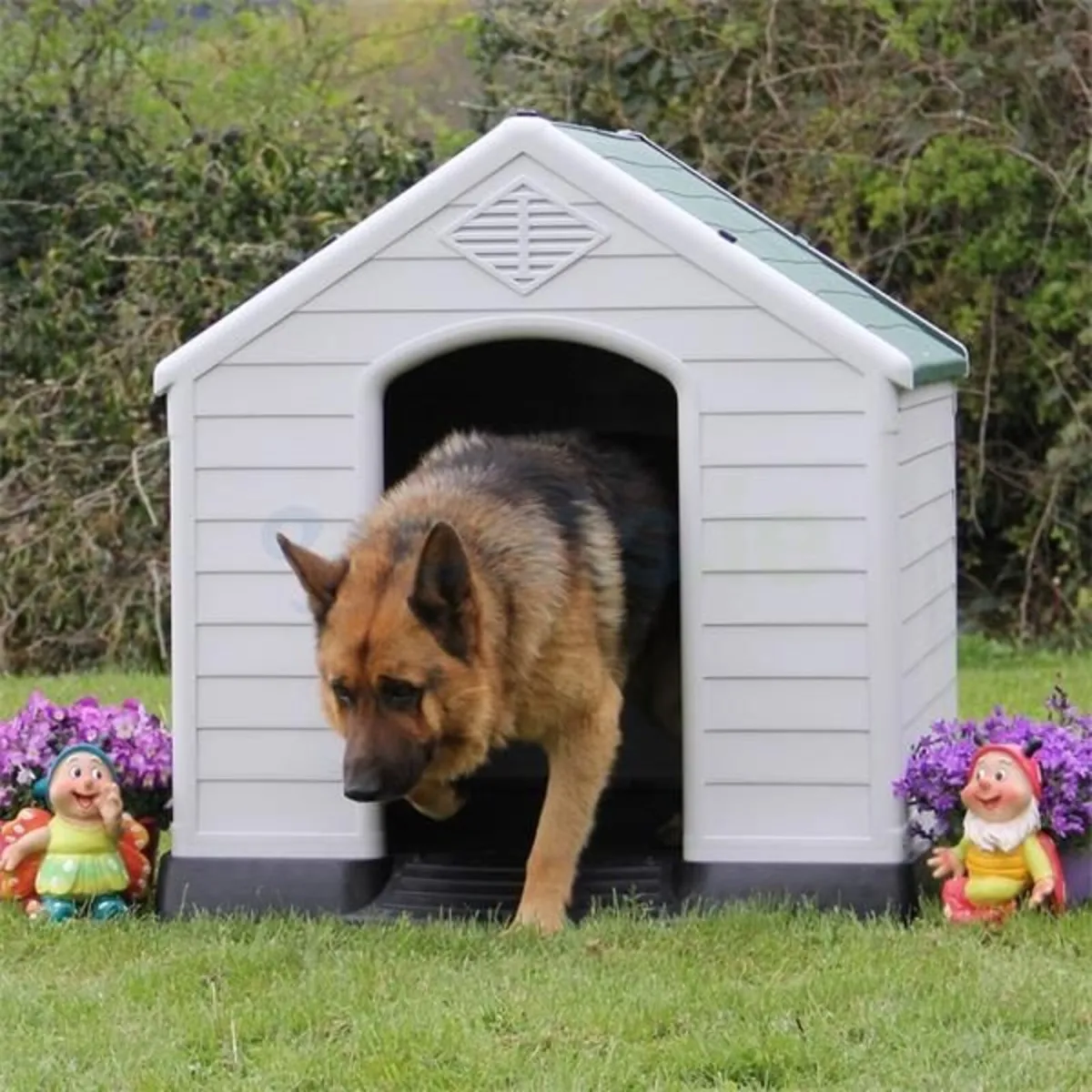 Dog Kennel Extra Large - Image 1