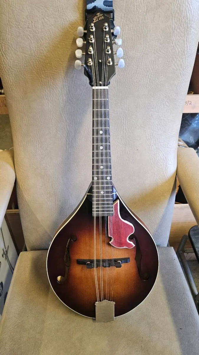 Mandolin scratch plates - Image 1