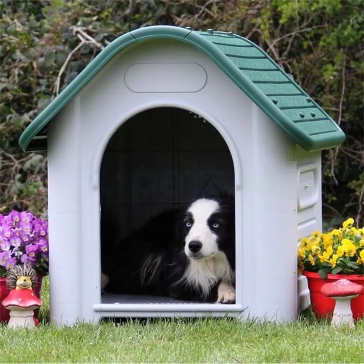 Dog Kennels Range Available - Image 3