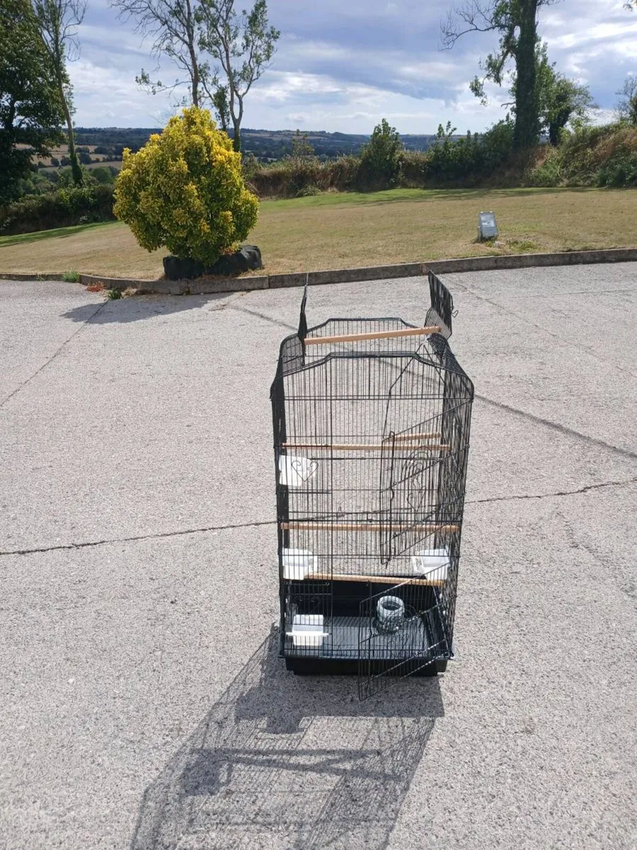 Bird Cage - Image 1