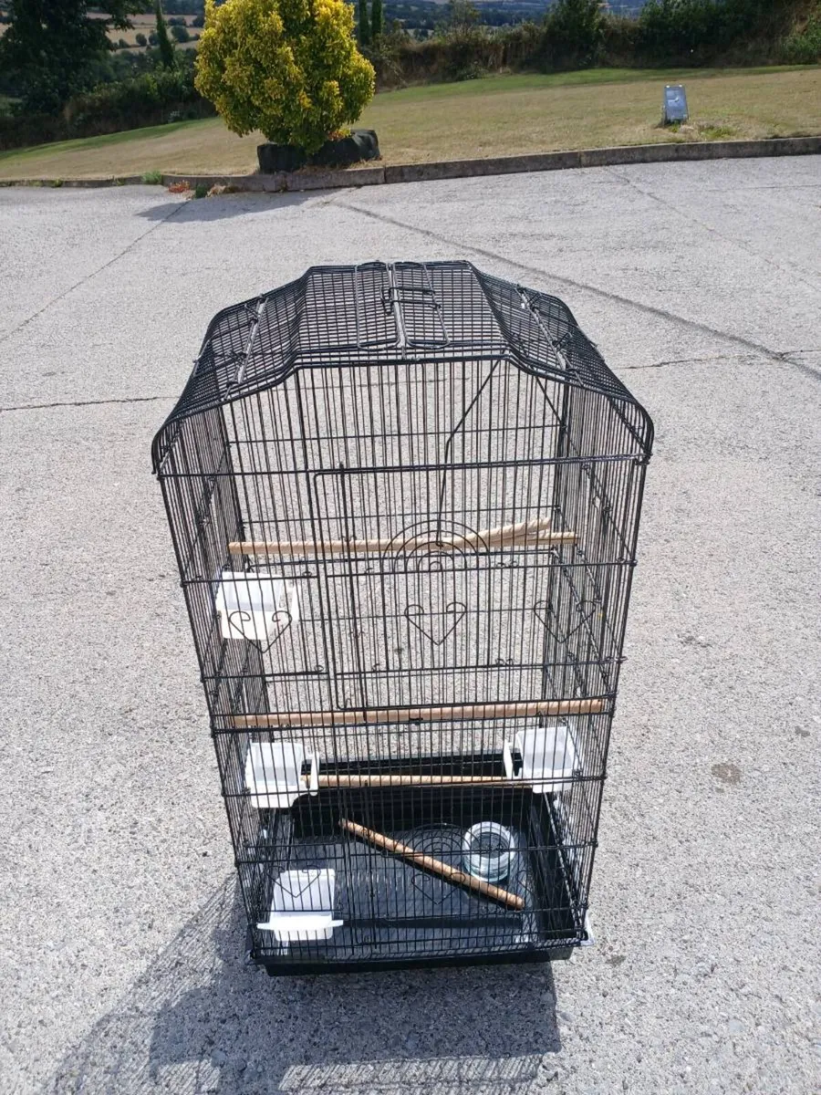 Bird Cage - Image 4
