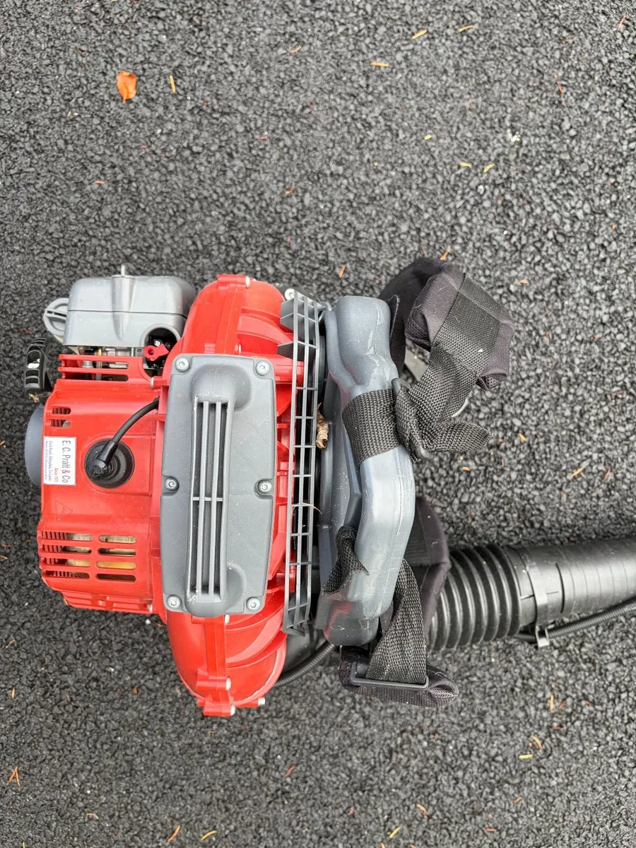 Efco SA 2063 Leaf Blower - Image 2