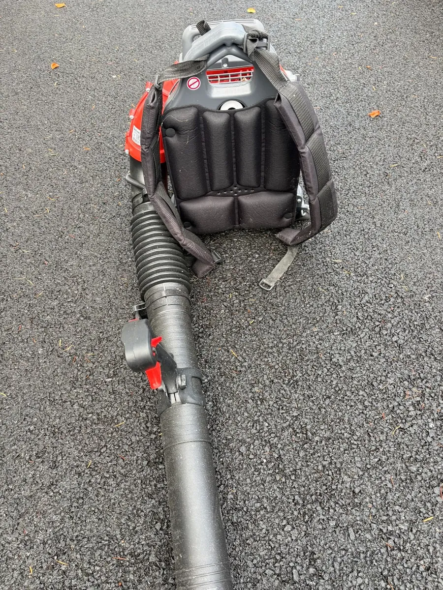 Efco SA 2063 Leaf Blower - Image 3