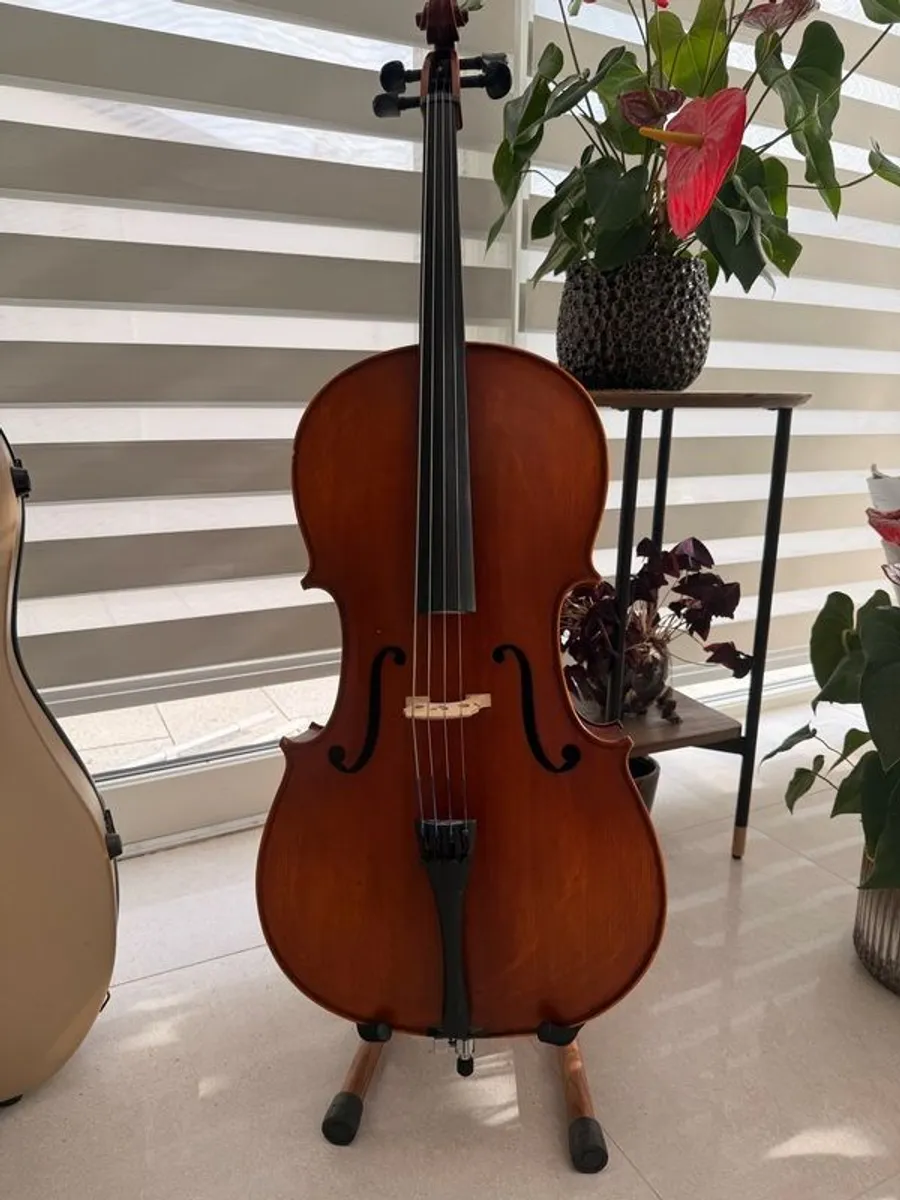 1/2 size cello - Image 1